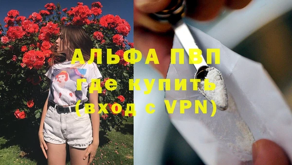 индика Алексин