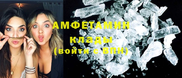 индика Алексин
