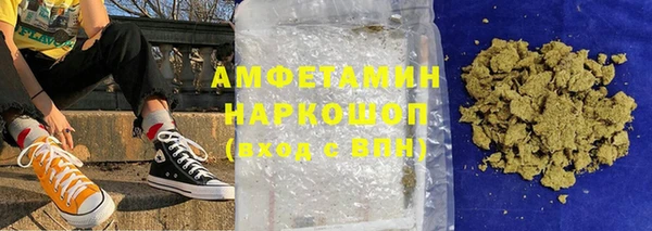индика Алексин