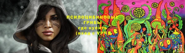 кокс Алзамай
