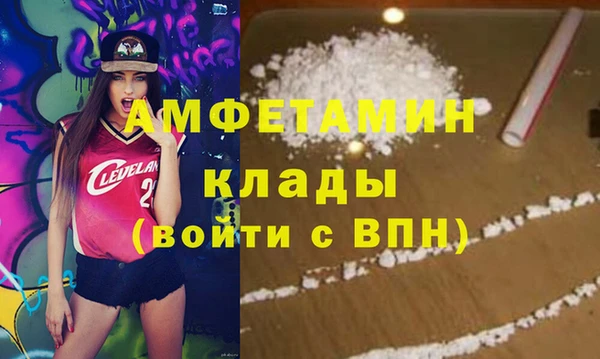 индика Алексин