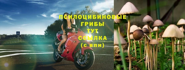 кокс Алзамай