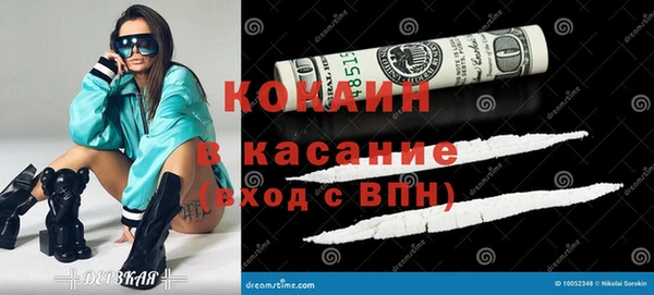 индика Алексин