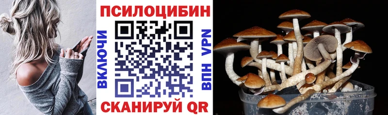 наркошоп  Льгов  Псилоцибиновые грибы Cubensis 